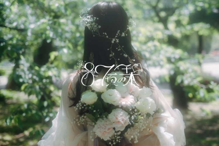 87頁の栞